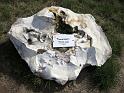 2012-10-07,_Nochten (52)